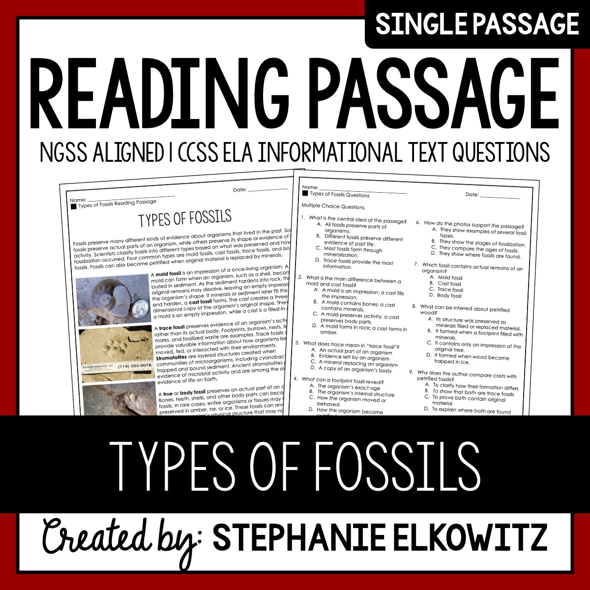 Types of Fossils Reading Passage